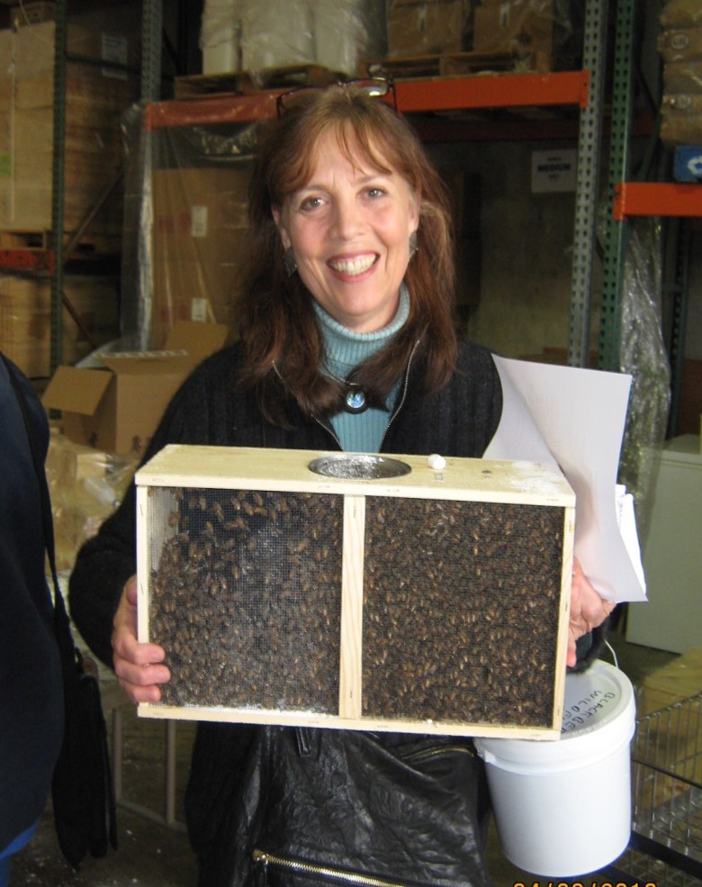 Packaged bees ready to install; photo by Dewey M. Caron